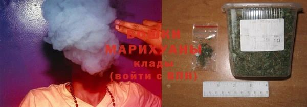 амф Арсеньев