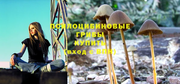 амф Арсеньев