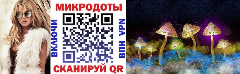купить наркотики сайты  Строитель  Псилоцибиновые грибы GOLDEN TEACHER 